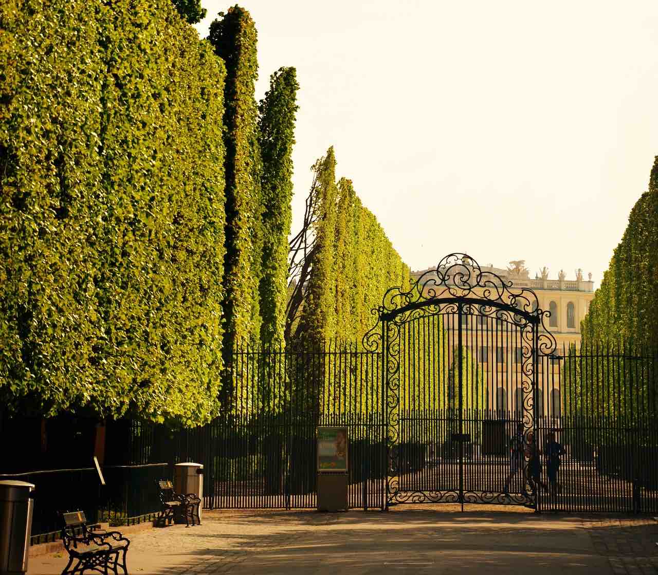 Do Schoenbrunn nie wjedziemy